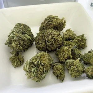 Amnesia Haze kaufen | Amnesia Haze Cannabis, Sativa Strain