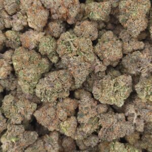 Melonade Runtz kaufen | Melonade Runtz Cannabis, Exotischer Hybrid