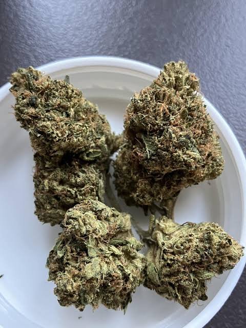 babo kush