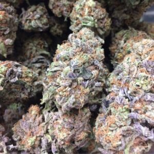 Blueberry Haze kaufen | Blueberry Haze Cannabis, Sativa Strain
