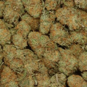 Super Silver Haze kaufen | Super Silver Haze Cannabis, Legendärer Strain