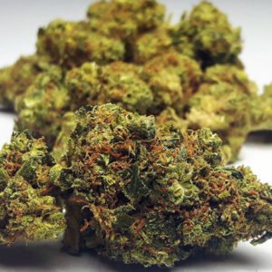 Gorilla Glue kaufen | Gorilla Glue Cannabis, Hybrid Strain