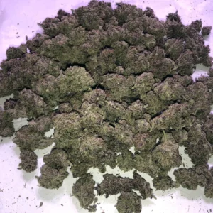 Purple Haze kaufen | Purple Haze Cannabis, Legendärer Strain