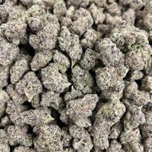 Super Runtz kaufen | Super Runtz Cannabis, Exotischer Hybrid