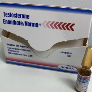 Testosteron Enantat kaufen | Testosteron Enantat 250 mg