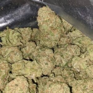 Zombie Kush kaufen | Zombie Kush Cannabis, Indica Strain